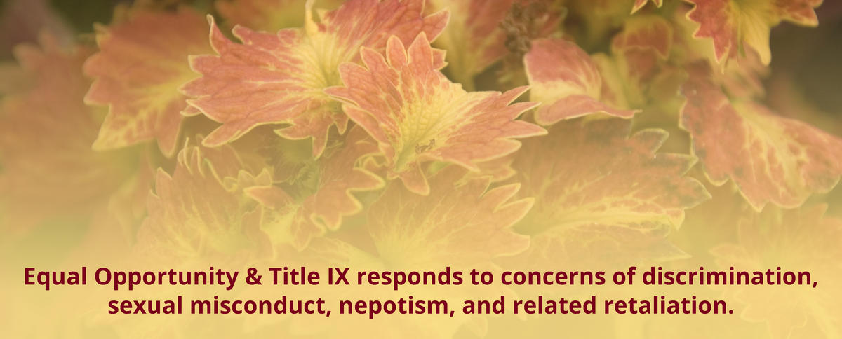 Equal Opportunity & Title IX responds to concerns of discrimination, sexual misconduct, nepotism, and related retaliation.
